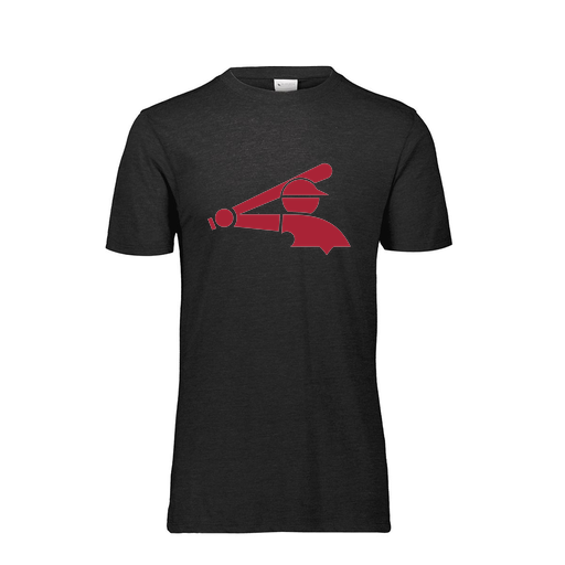 [FTSCUBBK-AS-LOGO2] Decker Men's Tri-Blend T-Shirt - Short Sleeve (Adult S, Black, Logo 2)
